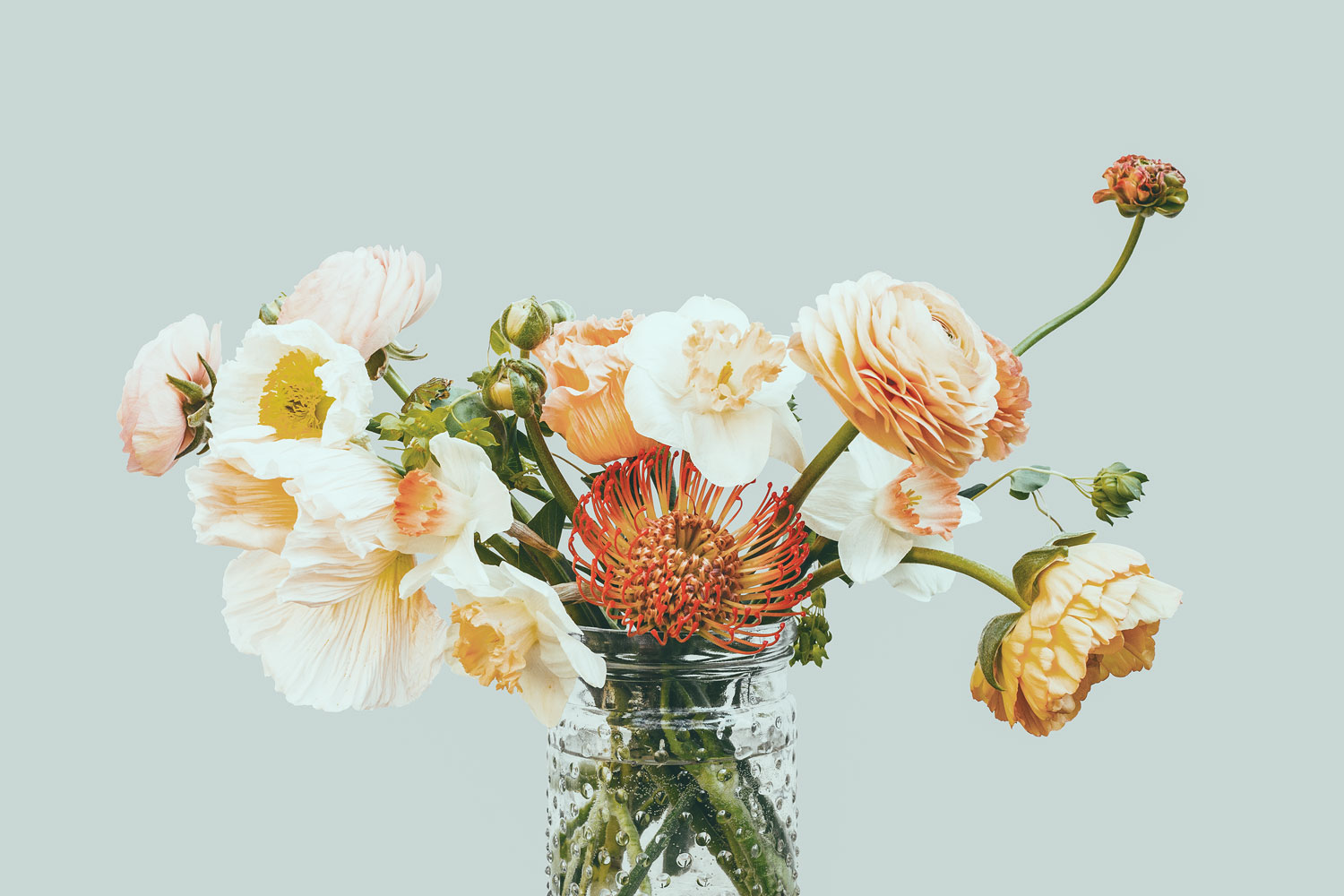 The Wellness Collective